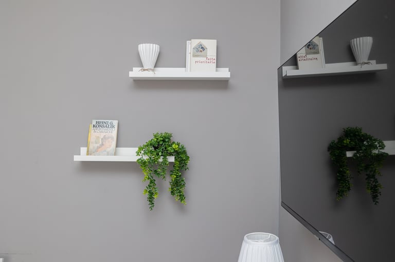 Two-tone wall with floating white shelves displaying small potted plants, books, and decorative items on gray and black surfaces